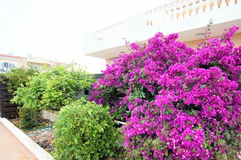 Central Pool-Side 2 Bedroom Apartment In Paphos Exterior photo